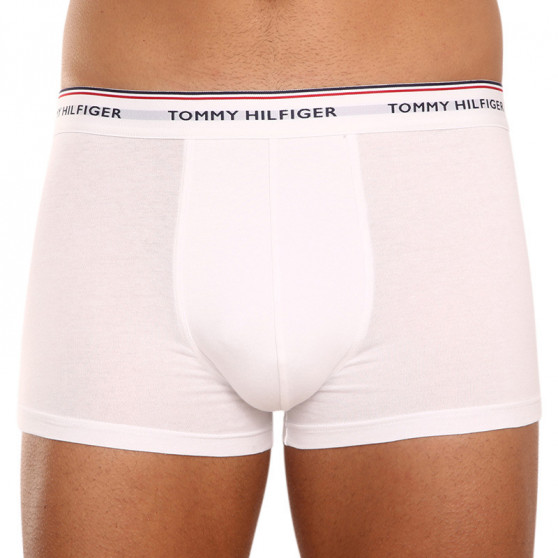 3PACK pánské boxerky Tommy Hilfiger vícebarevné (1U87903841 004)