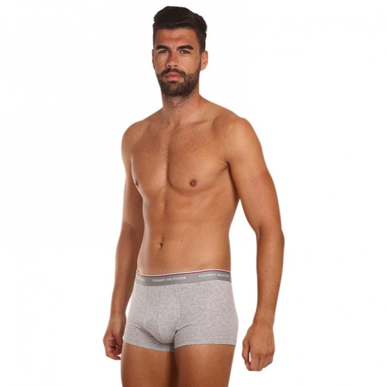 3PACK pánské boxerky Tommy Hilfiger vícebarevné (1U87903841 004)