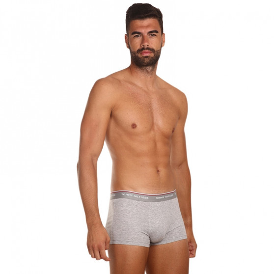 3PACK pánské boxerky Tommy Hilfiger vícebarevné (1U87903841 004)