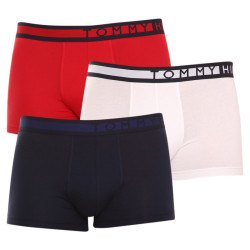 3PACK pánské boxerky Tommy Hilfiger vícebarevné (UM0UM01234 0XY)