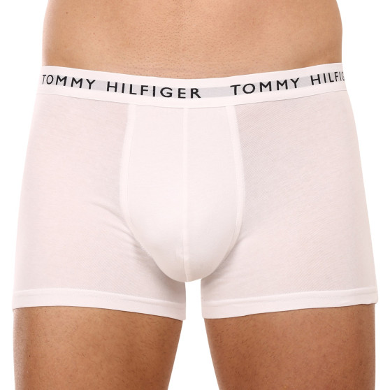 3PACK pánské boxerky Tommy Hilfiger vícebarevné (UM0UM02203 0XK)