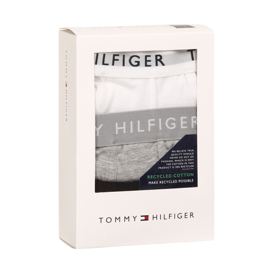 3PACK pánské boxerky Tommy Hilfiger vícebarevné (UM0UM02203 0XK)