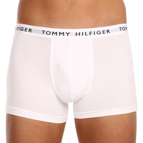 3PACK pánské boxerky Tommy Hilfiger vícebarevné (UM0UM02203 0WS)