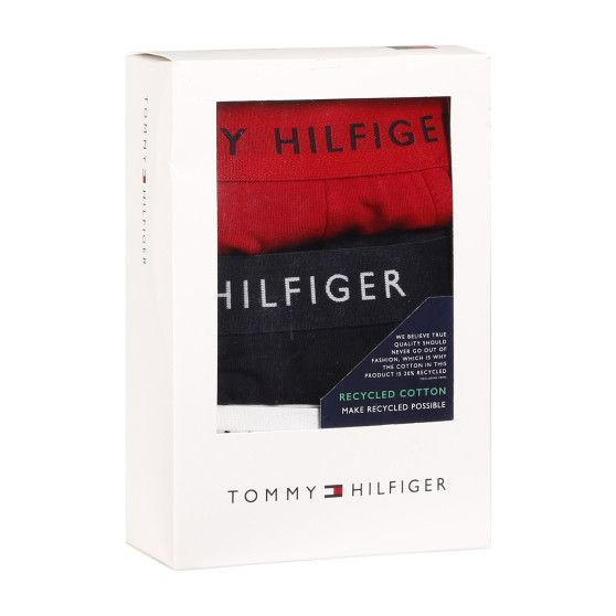 3PACK pánské boxerky Tommy Hilfiger vícebarevné (UM0UM02203 0WS)