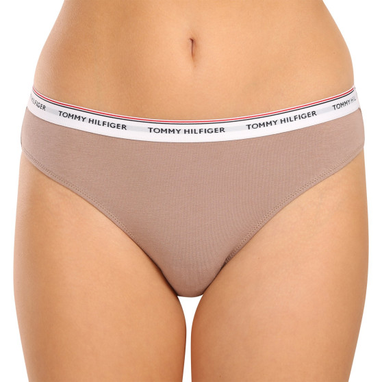 3PACK dámské kalhotky Tommy Hilfiger nadrozměr vícebarevné (UW0UW04557 0Y3)