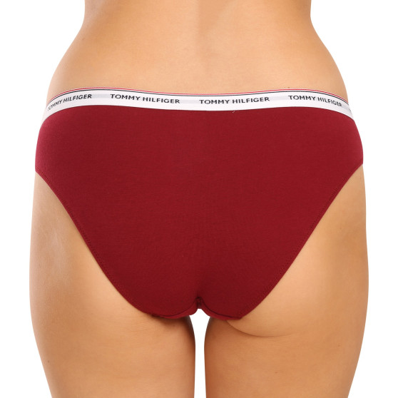 3PACK dámské kalhotky Tommy Hilfiger nadrozměr vícebarevné (UW0UW04557 0Y3)